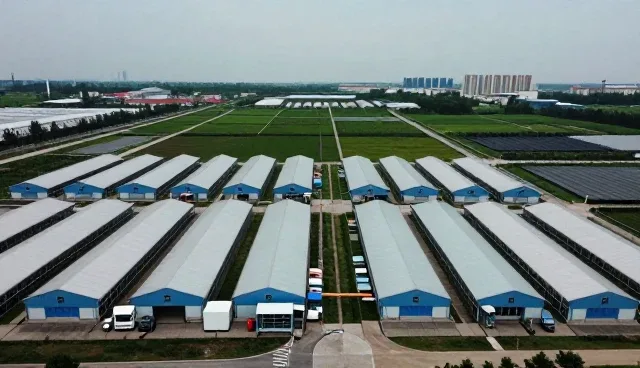 技术咨询在维护业务中的持续价值与发展方向
